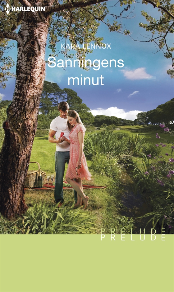 Sanningens minut (e-bok) av Kara Lennox