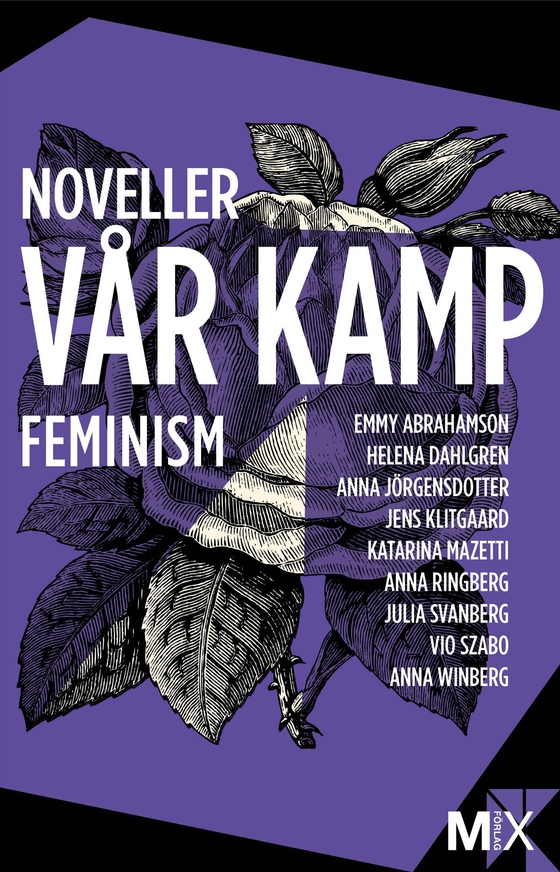 Vår kamp : feministiska noveller (e-bok) av Flera författare 