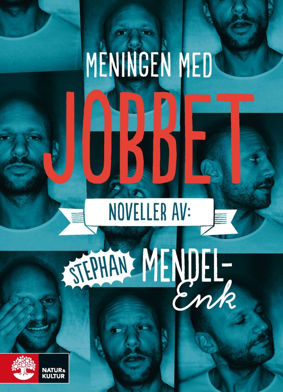 Meningen med jobbet (e-bok) av Stephan Mendel-Enk