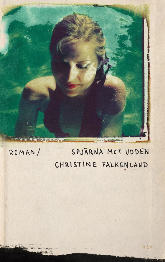 Spjärna mot udden (e-bok) av Christine Falkenland
