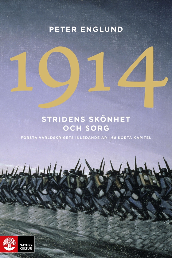 Stridens skönhet och sorg 1914 : första världskrigets första år i 106 korta kapitel