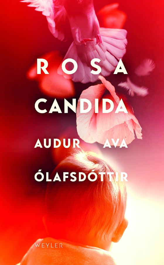 Rosa candida (e-bok) av Audur Ava Ólafsdottir