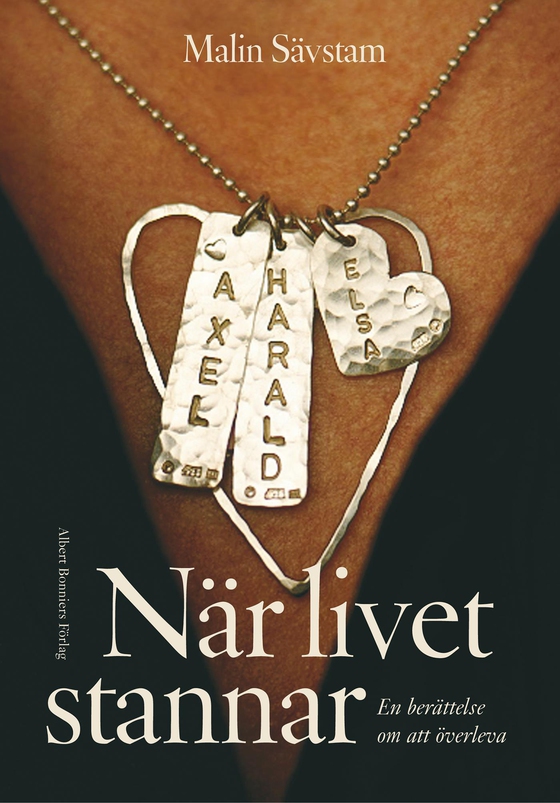 När livet stannar : En berättelse om att överleva (e-bok) av Malin Sävstam