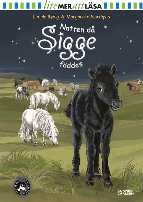 Natten då Sigge föddes (e-bok) av Lin Hallberg
