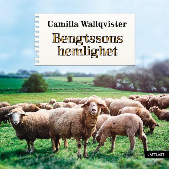 Bengtssons hemlighet (lättläst)