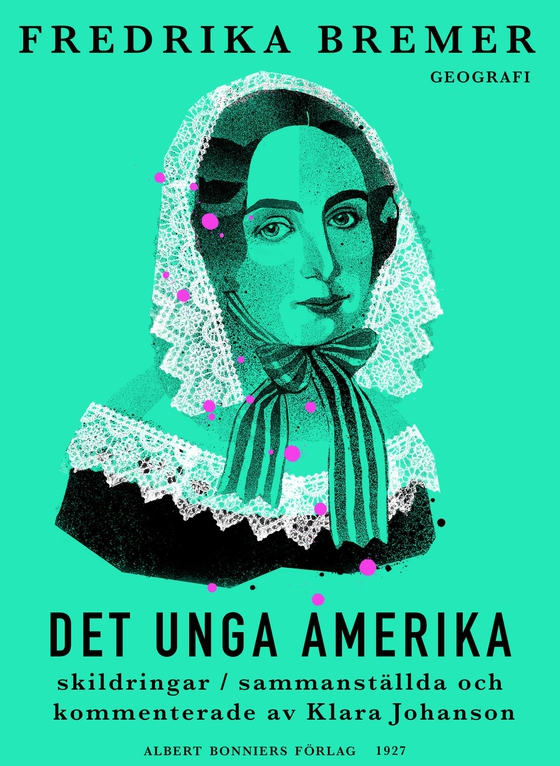 Det unga Amerika : skildringar 