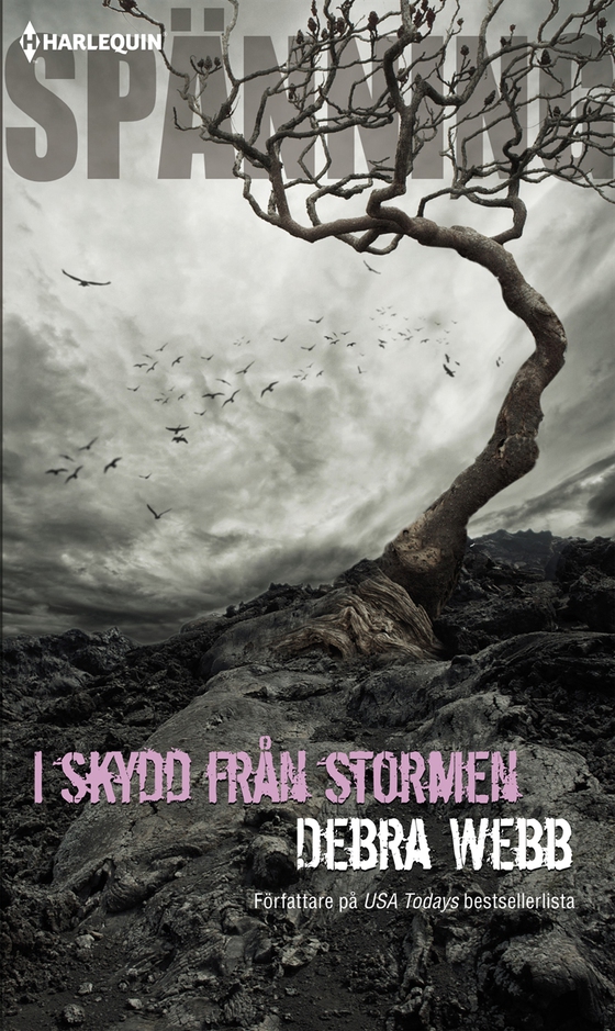 I skydd från stormen