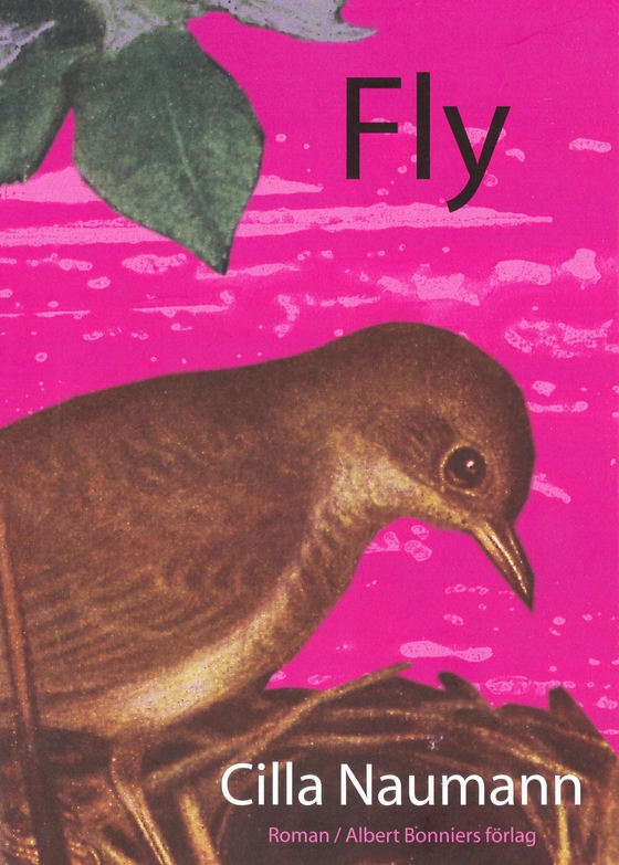 Fly (e-bok) av Cilla Naumann