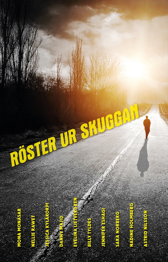 Röster ur skuggan (e-bok) av Nadine Holmberg