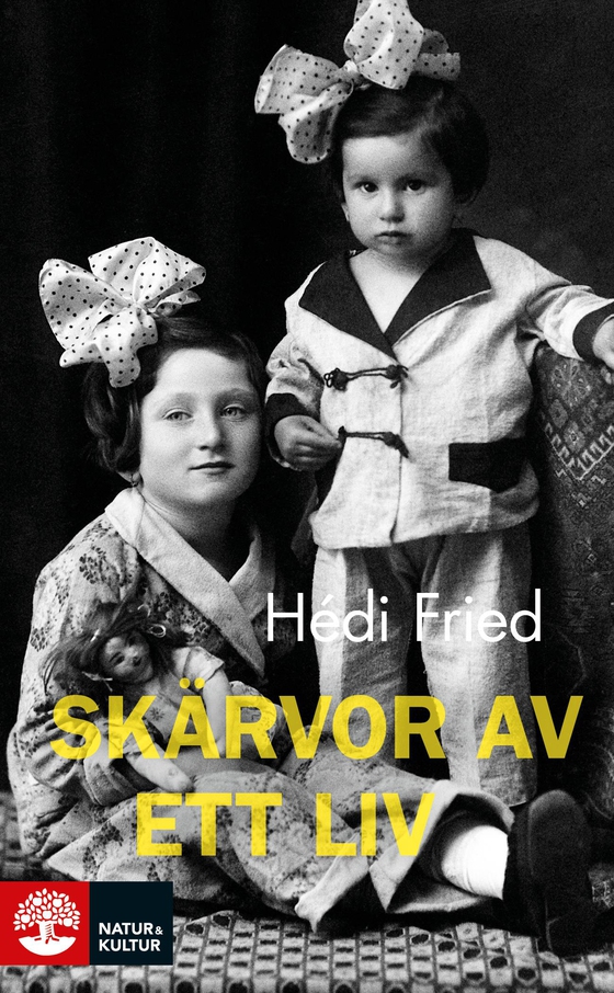 Skärvor av ett liv