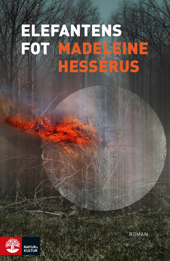 Elefantens fot (e-bok) av Madeleine Hessérus