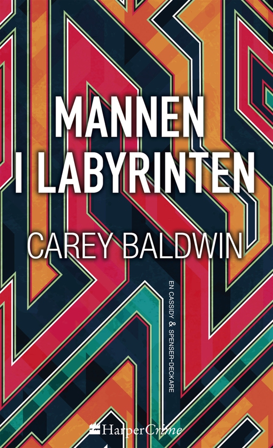 Mannen i labyrinten