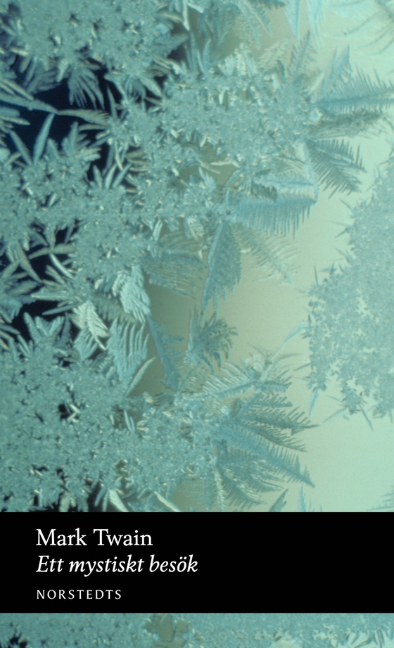 Ett mystiskt besök (e-bok) av Mark Twain