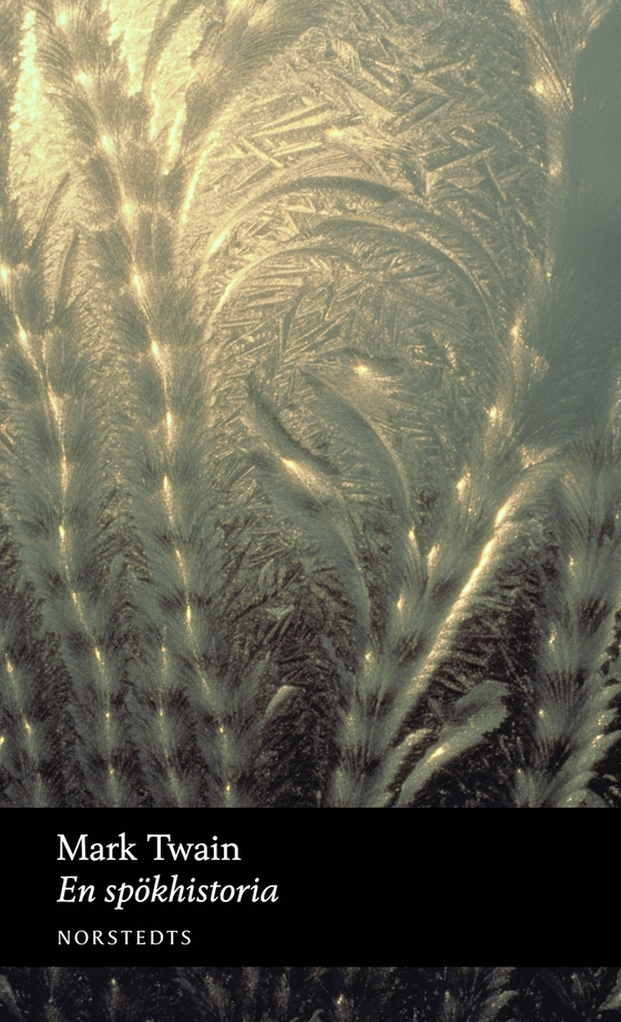 En spökhistoria (e-bok) av Mark Twain