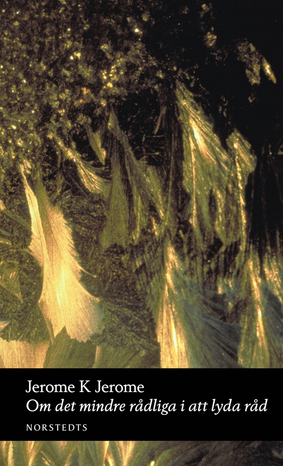 Om det mindre rådliga i att lyda råd (e-bok) av Jerome K. Jerome