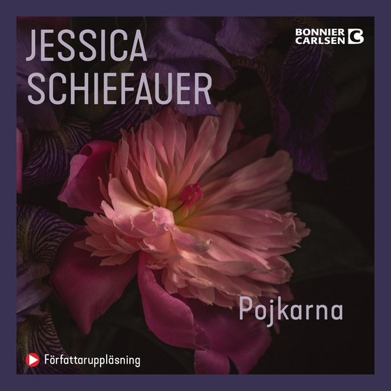 Pojkarna (ljudbok) av Jessica Schiefauer