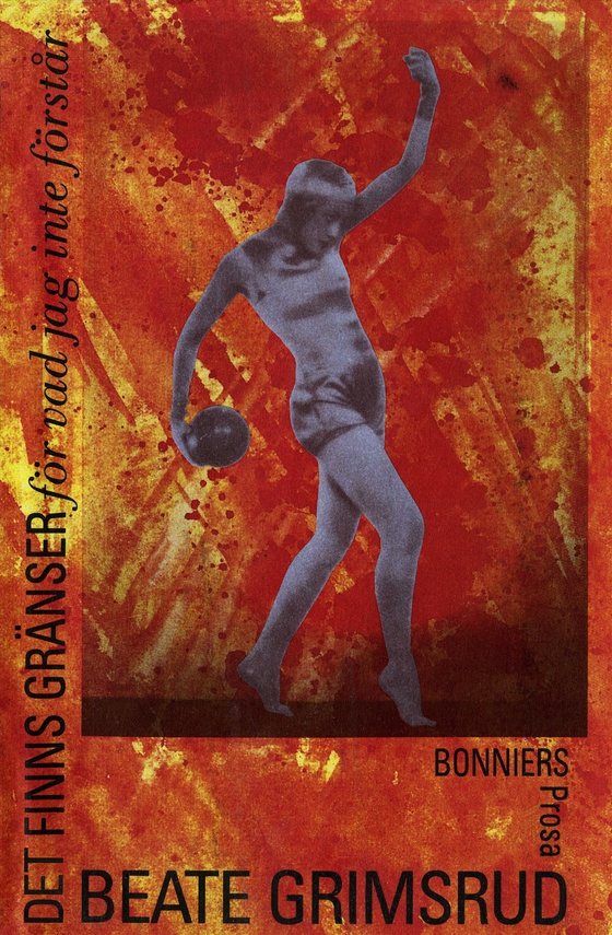 Det finns gränser för vad jag inte förstår : Prosa (e-bok) av Beate Grimsrud