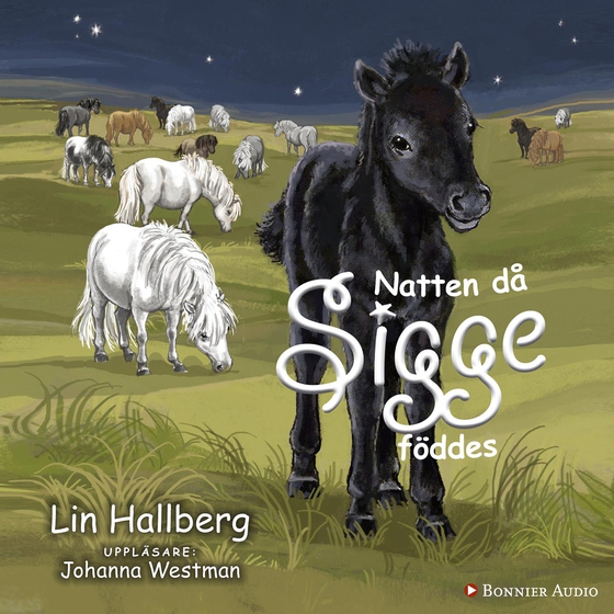 Natten då Sigge föddes (ljudbok) av Lin Hallberg