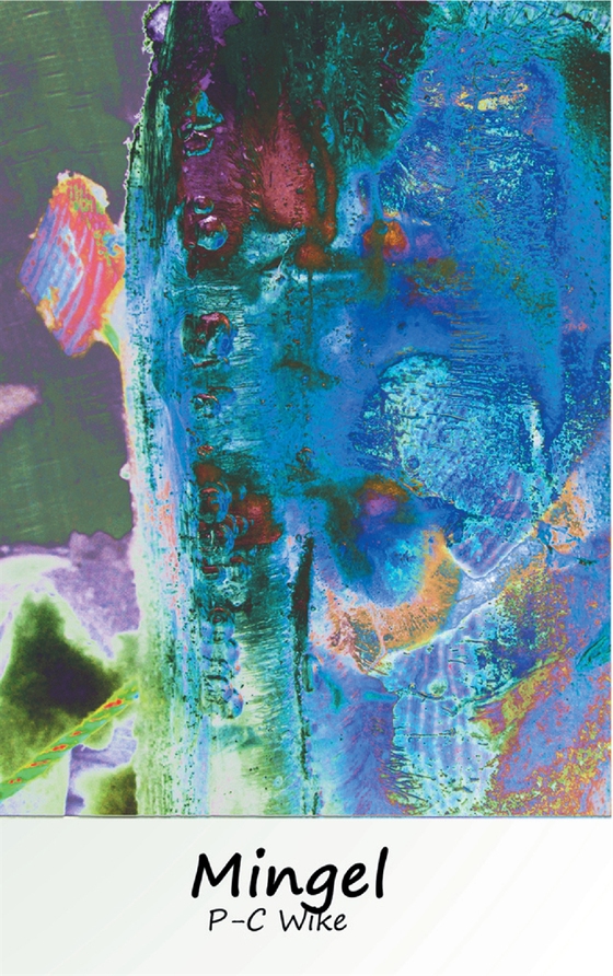 Mingel: Spår av gemenskap i köttrymden (e-bok) av P-C Wike