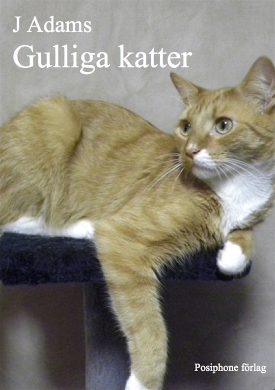 Gulliga katter