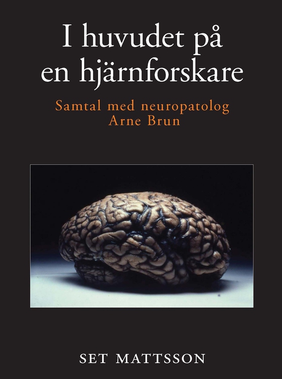 I huvudet på en hjärnforskare - samtal med neuropatolog Arne Brun (e-bok) av Set Mattsson