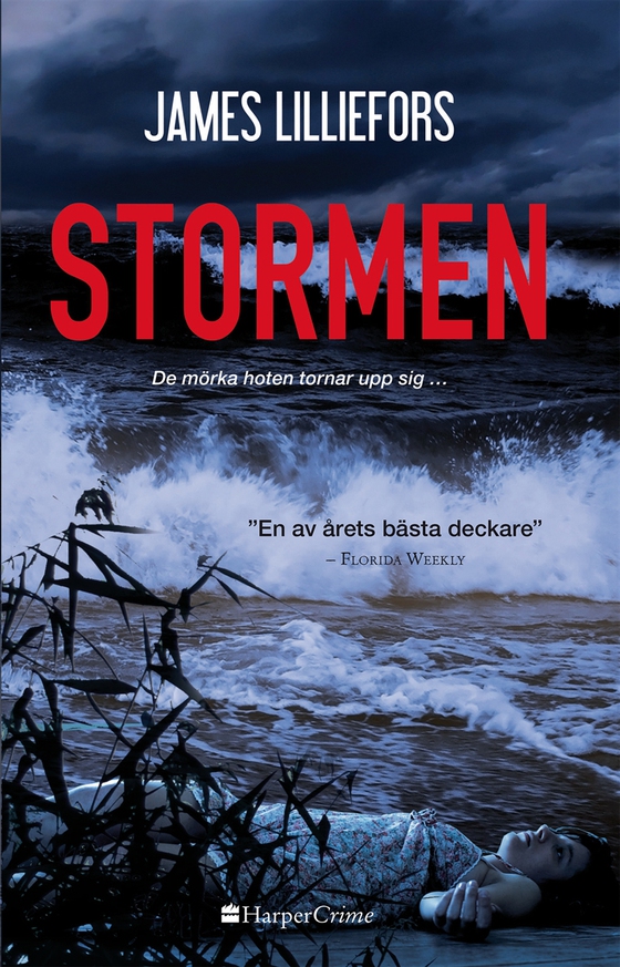 Stormen (e-bok) av James Lilliefors