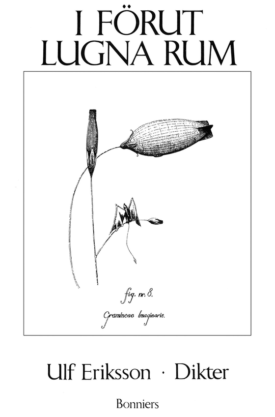 I förut lugna rum : dikter