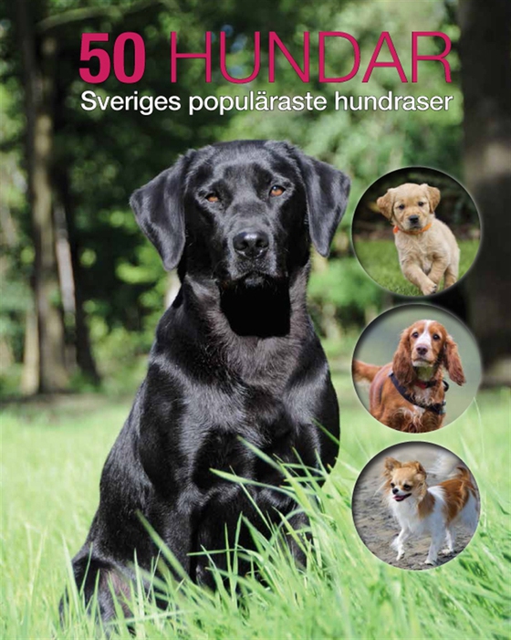 50 hundar : Sveriges populäraste hundraser (e-bok) av Jan Larsson