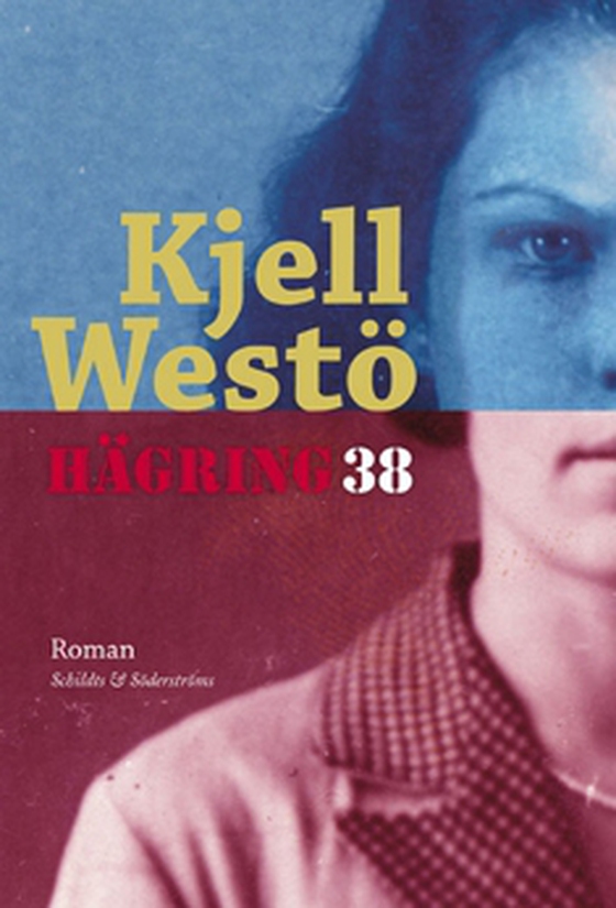 Hägring 38 (e-bok) av Kjell Westö