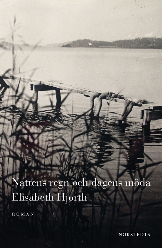Nattens regn och dagens möda (e-bok) av Elisabeth Hjorth
