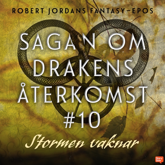 Stormen vaknar (ljudbok) av Robert Jordan