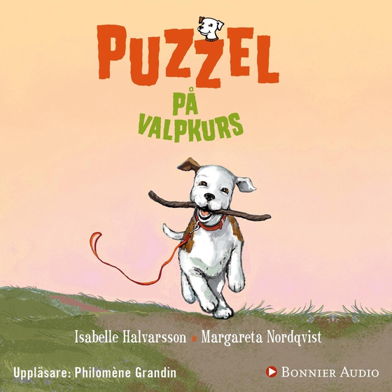 Puzzel på valpkurs