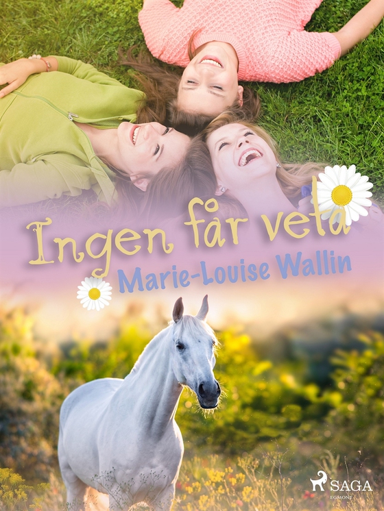 Ingen får veta (e-bok) av Marie-Louise Wallin