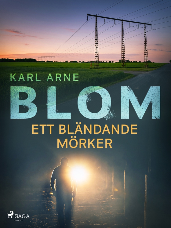 Ett bländande mörker (e-bok) av Karl Arne Blom