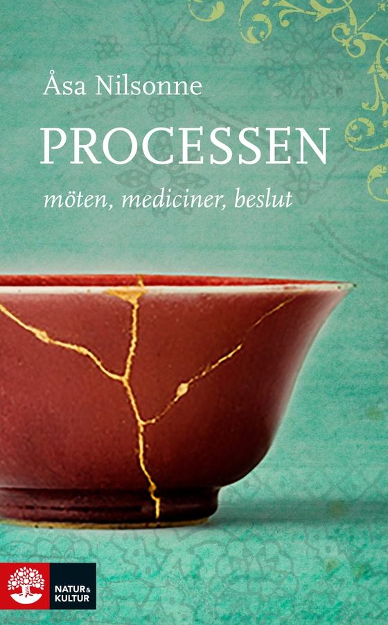 Processen : Möten, mediciner, beslut (e-bok) av Åsa Nilsonne