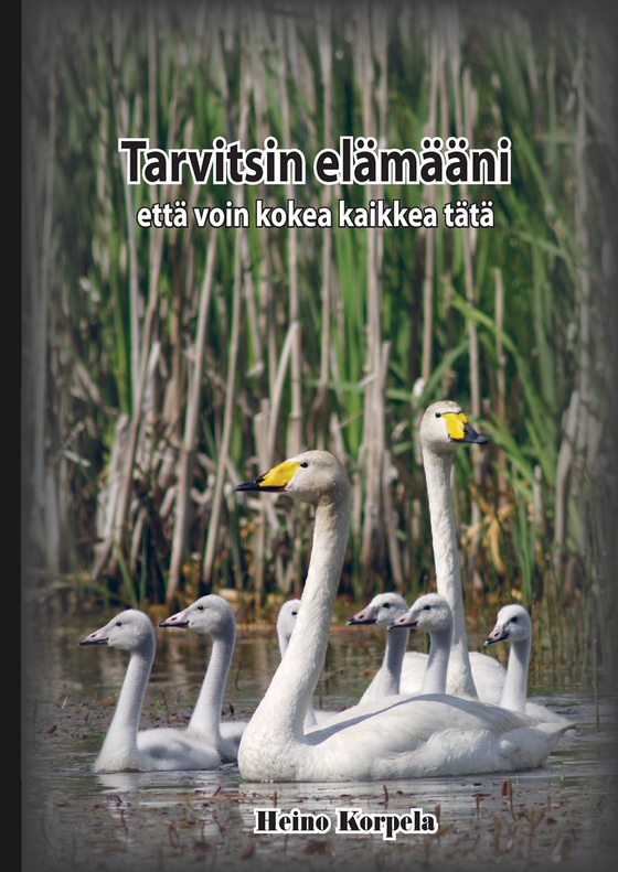 Tarvitsin elämääni: että voin kokea kaikkea tätä