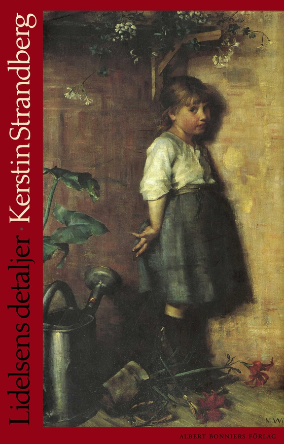 Lidelsens detaljer (e-bok) av Kerstin Strandberg