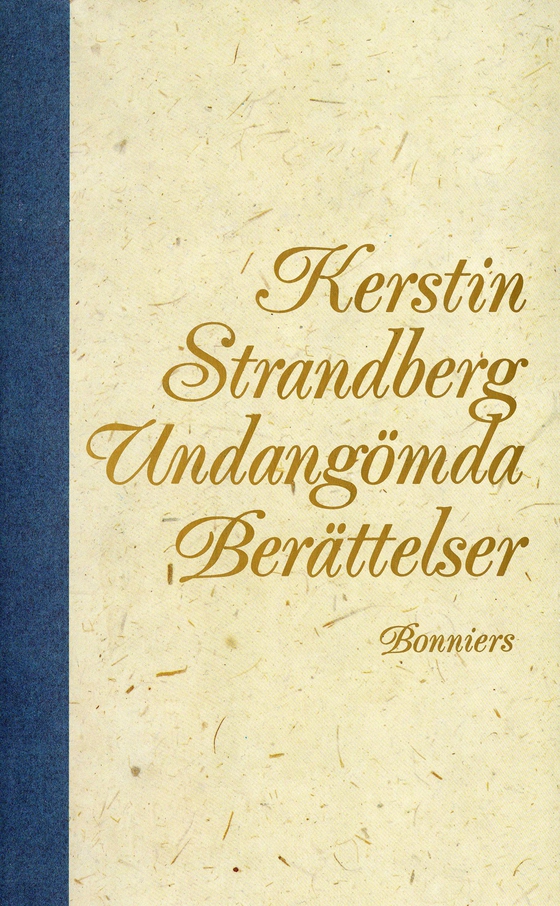 Undangömda berättelser : noveller (e-bok) av Kerstin Strandberg