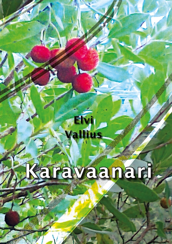 Karavaanari (e-bok) av Elvi Vallius
