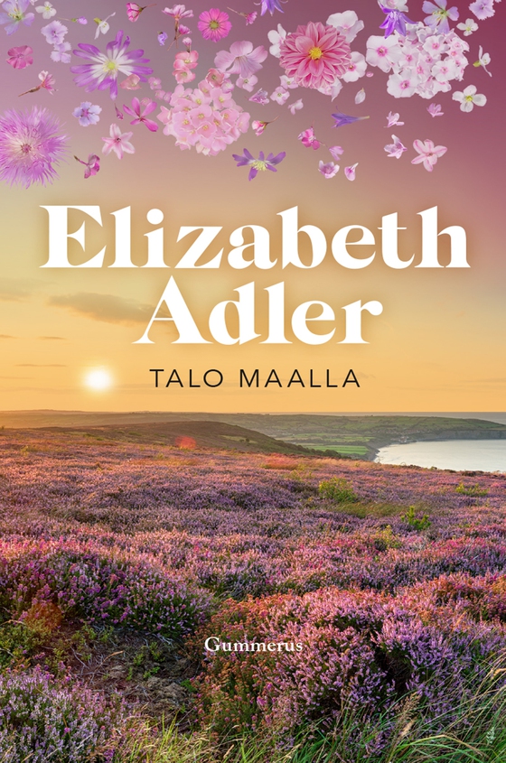 Talo maalla