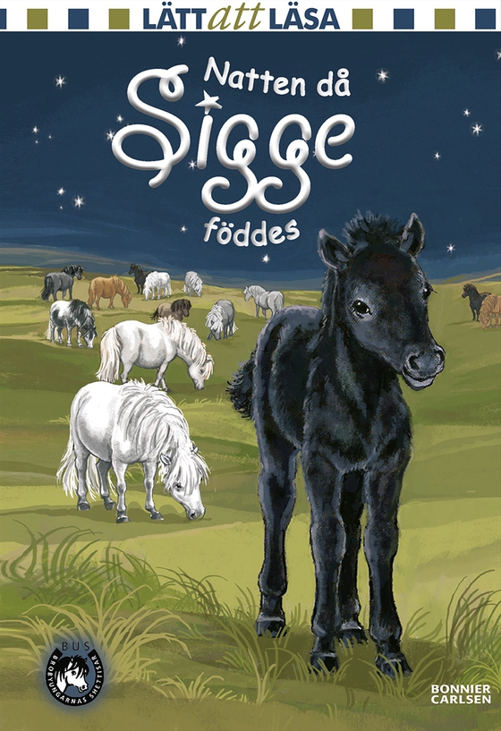 Natten då Sigge föddes  (e-bok) av Lin Hallberg