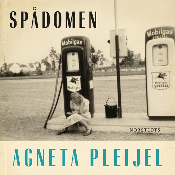 Spådomen : en flickas memoarer (ljudbok) av Agneta Pleijel