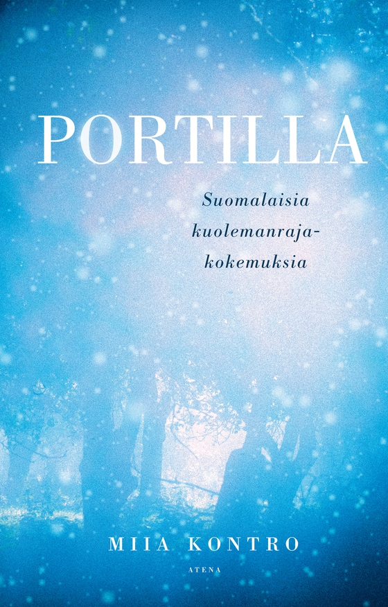 Portilla