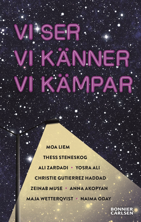 Vi ser, vi känner, vi kämpar (e-bok) av Unknown 