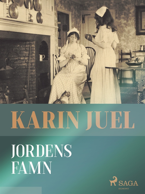 Jordens famn (e-bok) av karin juel dam