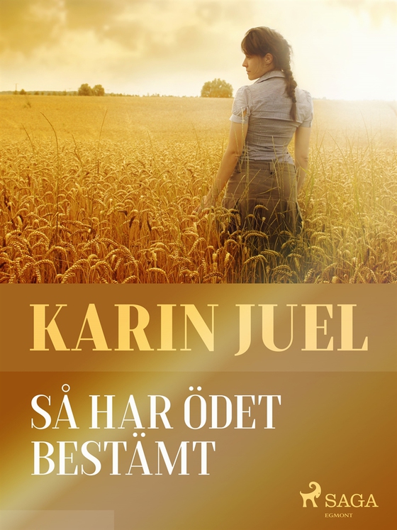 Så har ödet bestämt (e-bok) av karin juel dam