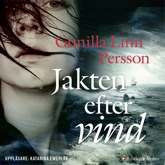 Jakten efter vind (ljudbok) av Gunilla Linn Persson