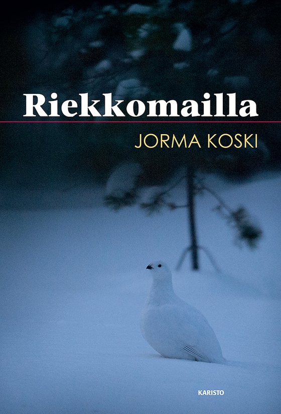 Riekkomailla