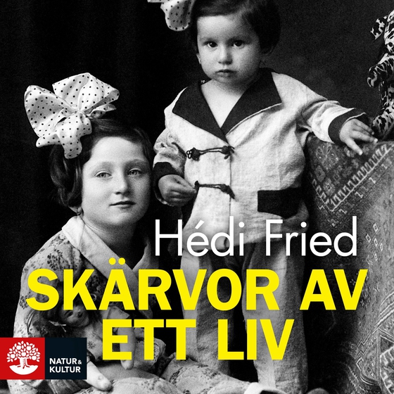 Skärvor av ett liv : vägen till och från Auschwitz (ljudbok) av Hédi Fried