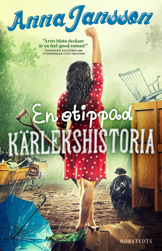 En otippad kärlekshistoria (e-bok) av Anna Jansson